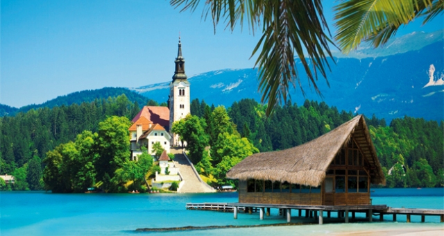 Travel Zoom 2012 thumbnail